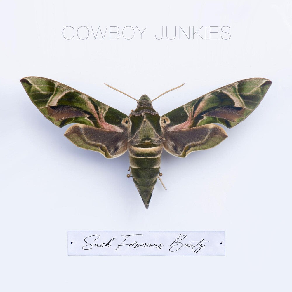Cowboy Junkies - Such Ferocious Beauty [Limited Edition Translucent Green LP] Vinyl Record