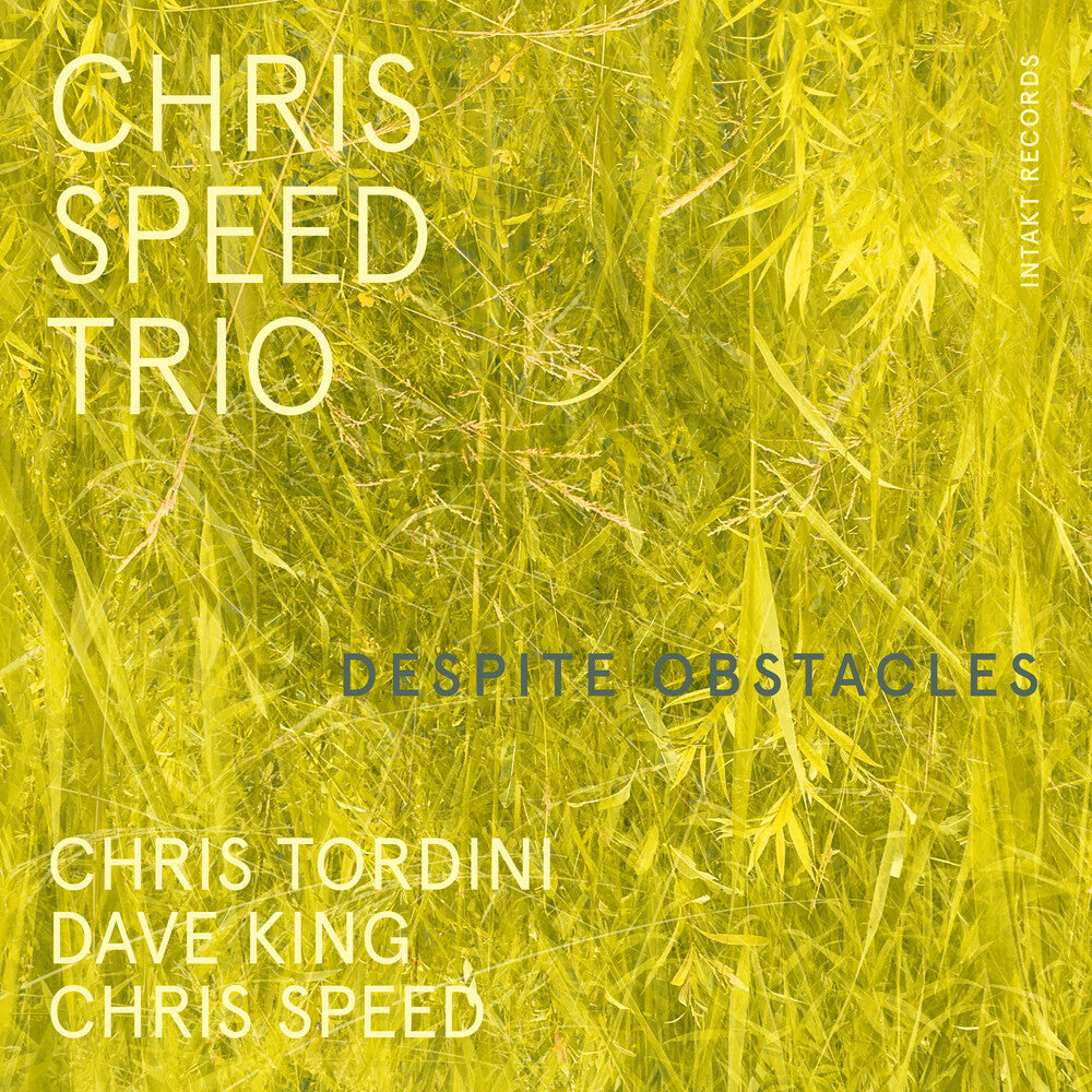 Chris Speed - Despite Obstacles [CD]