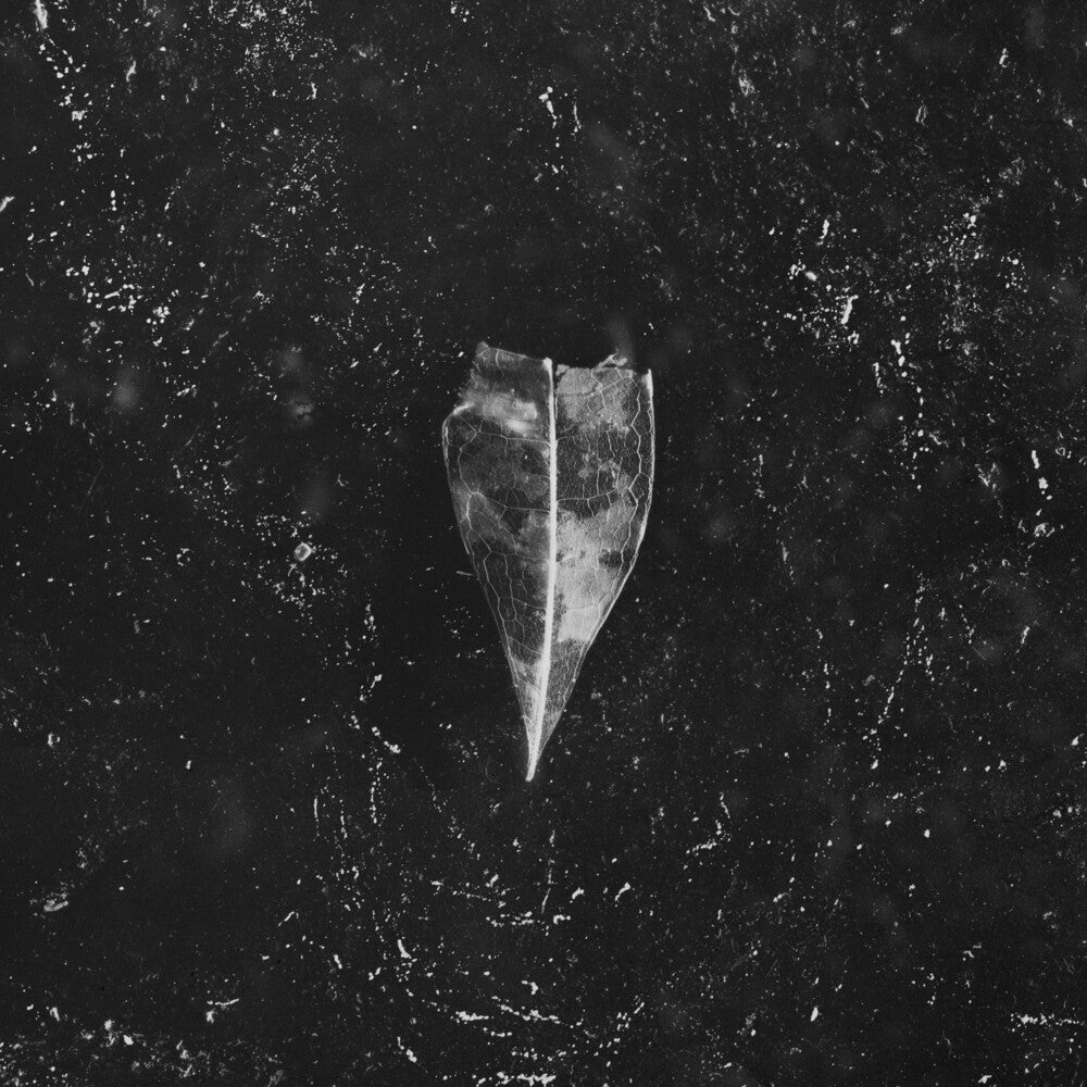 Bees Made Honey in the Vein Tree - Aion [CD]