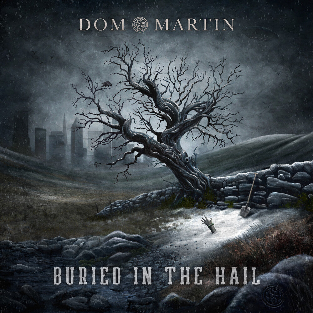 Dom Martin - Buried In The Hail [LP] Vinyl Record