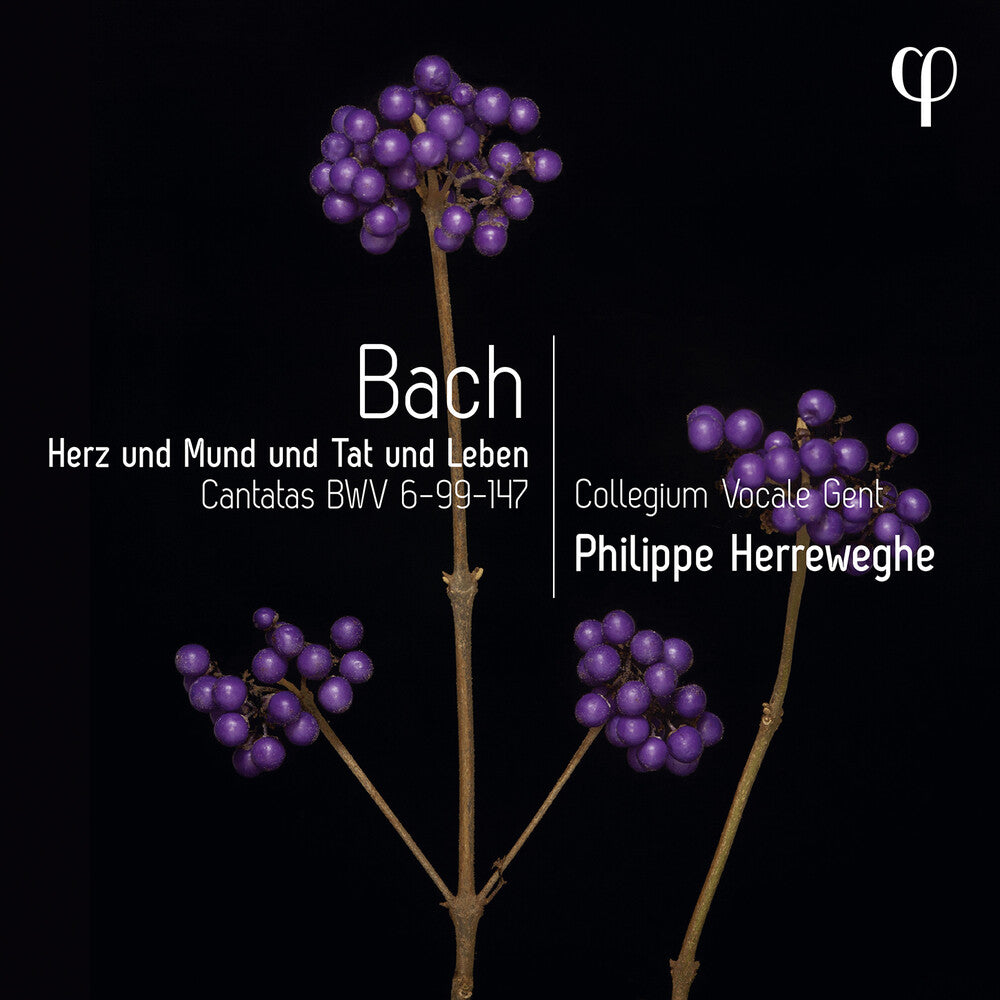 J Bach .S. / Herreweghe - Erz Und Mund Und Tat Und Leben - Cantatas, Bwv [CD]
