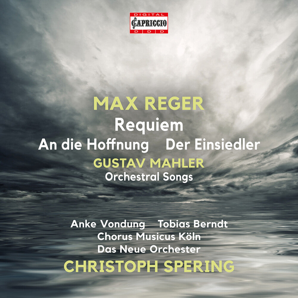 Mahler / Reger / Das Neue Orchester - Orchestral Songs Music CD