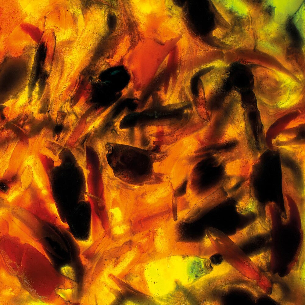 Plague Rider - Intensities [CD]