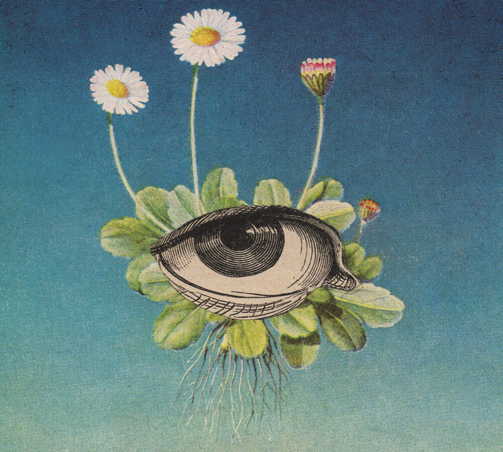 Ojerum - Limited Circle Is Pure [CD]
