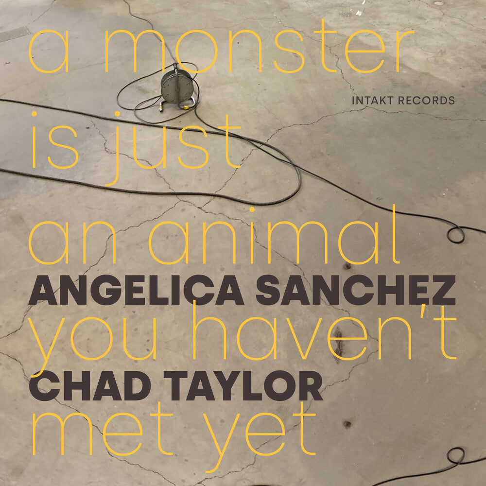 Angelica Sanchez - Monster Is Just An Animal You Haven't Met Yet [CD]