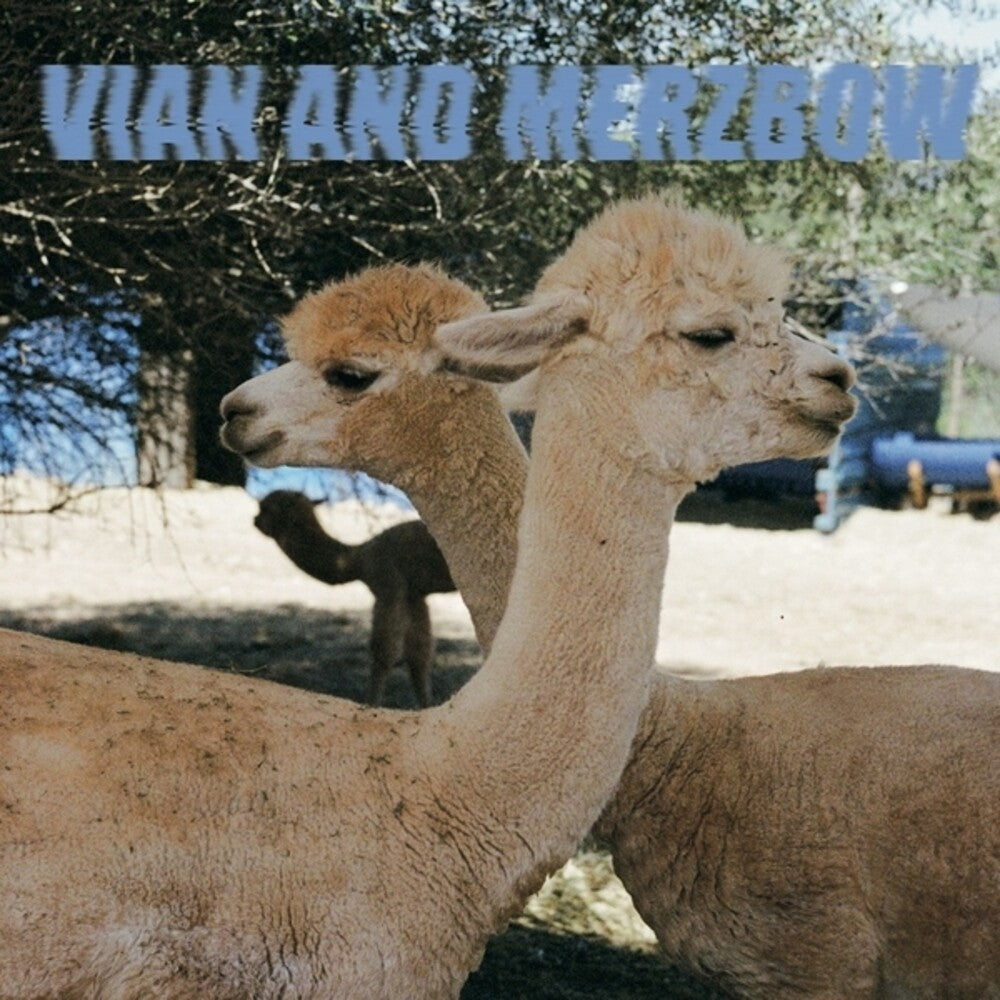 Pedro Vian  & Merzbow - Inside Richard Serra Sculptures [LP] Vinyl Record