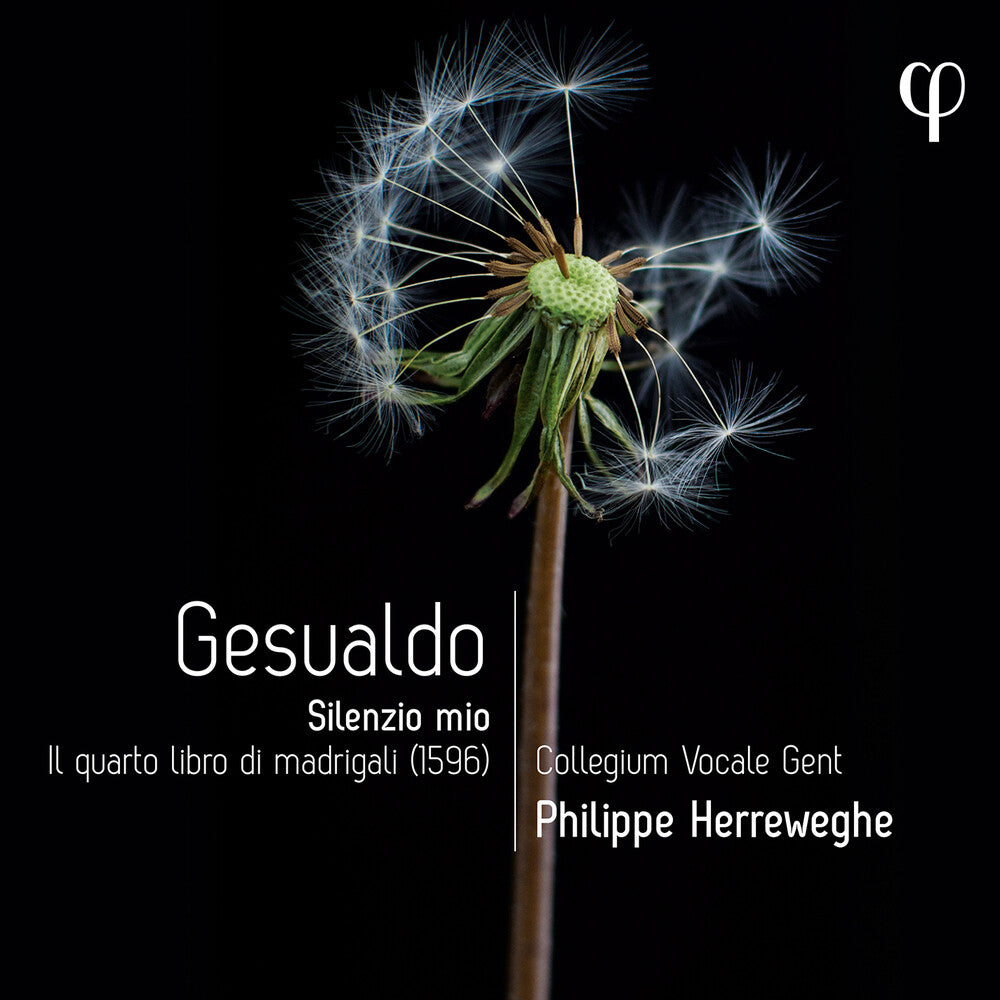 Gesualdo / Herreweghe / Nordberg - Silenzio Mio - Il Quarto Libro Di Madrigali [CD]