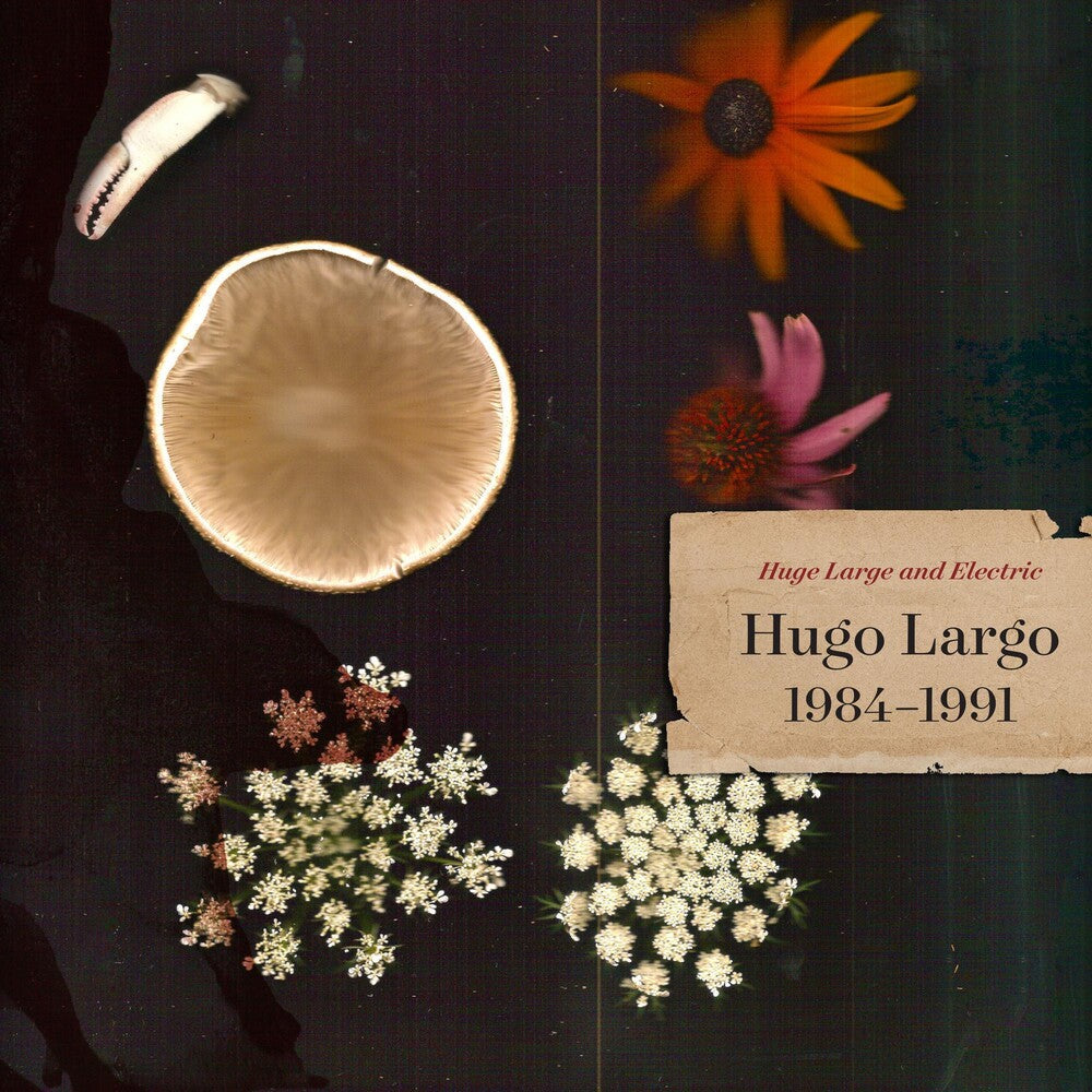 Hugo Largo - Huge, Large and Electric: Hugo Largo 1984-1991 [2 CD]