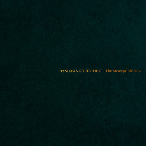 Tyshawn Sorey Trio - Susceptible Now - Music CD