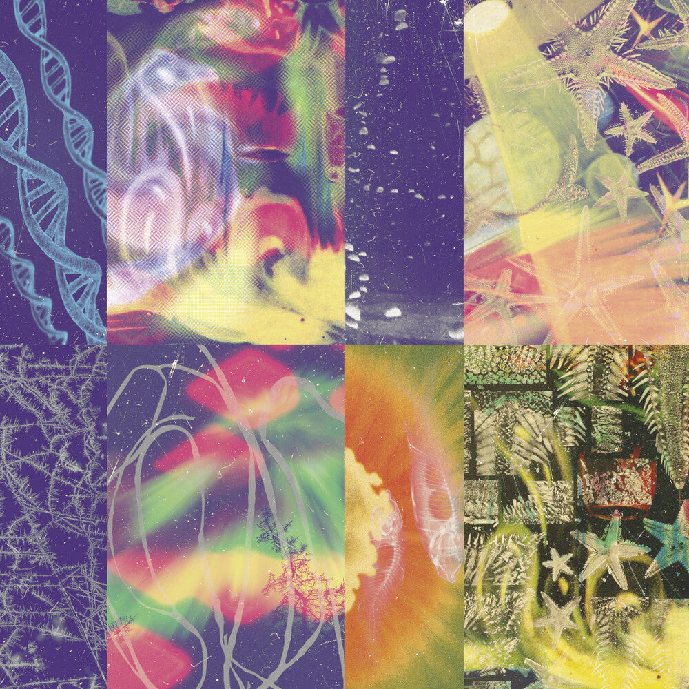 Nap Eyes - Neon Gate [CD]
