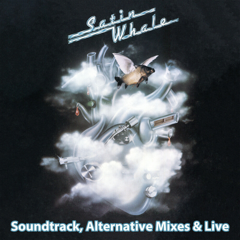 Satin Whale - History Box 2: Soundtrack Live & Alternative Mixes [CD]
