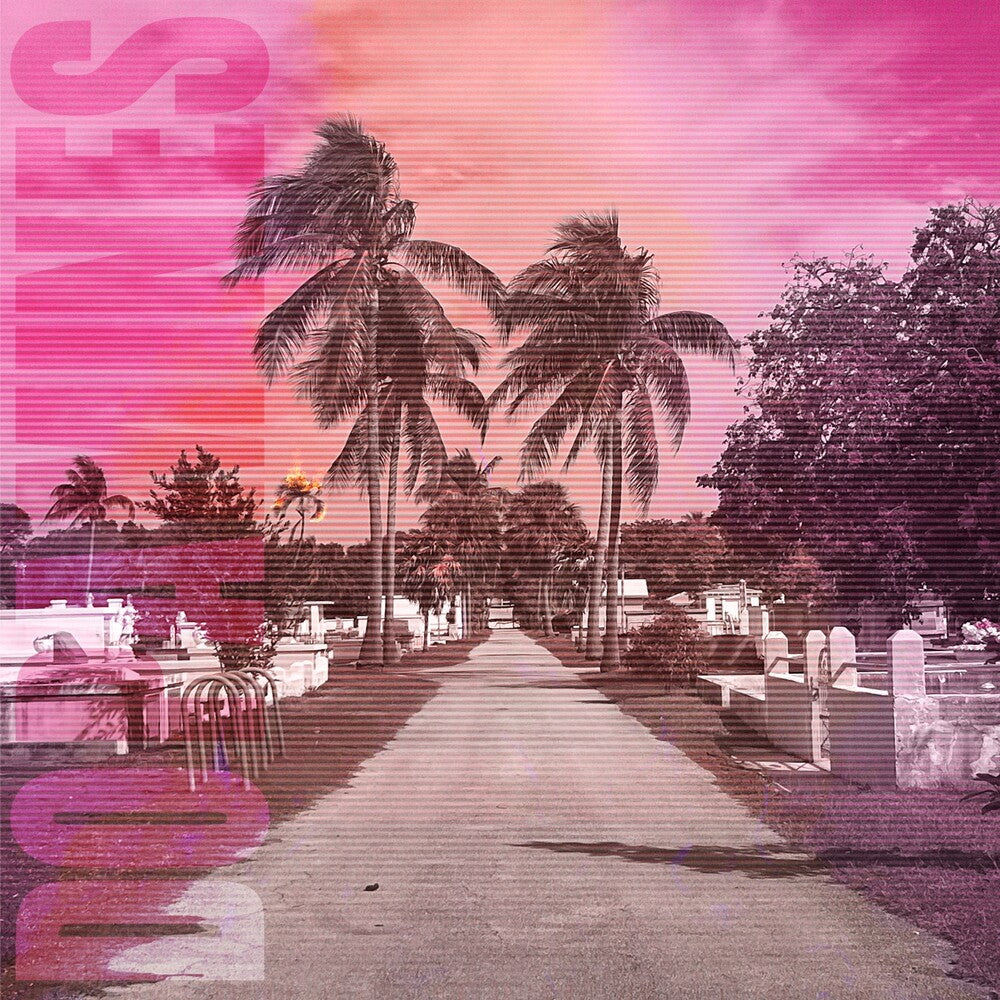Dopamines - 80/20 [LP] Vinyl Record