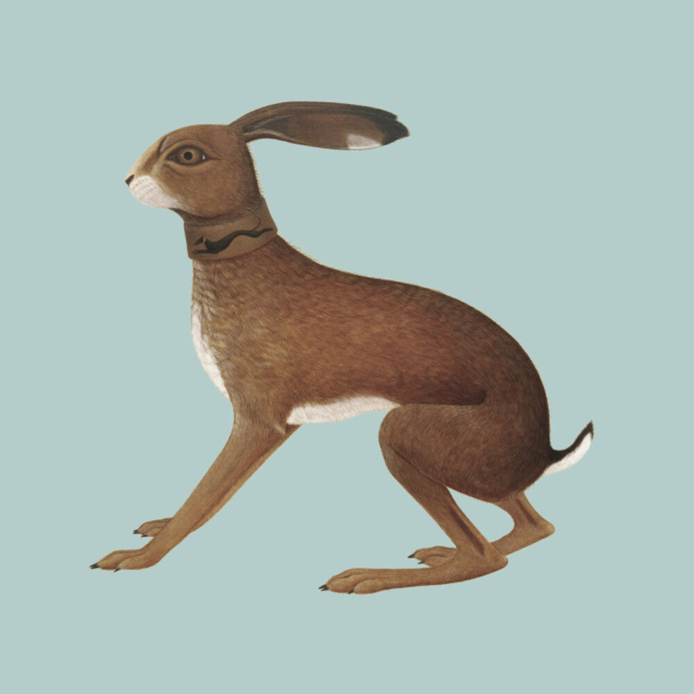 Vashti Bunyan - Lookaftering ( Expanded ) [CD]