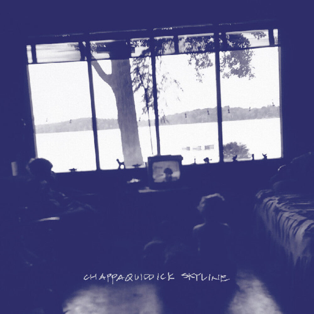 Pernice Brothers - Chappaquiddick Skyline [LP] Vinyl Record
