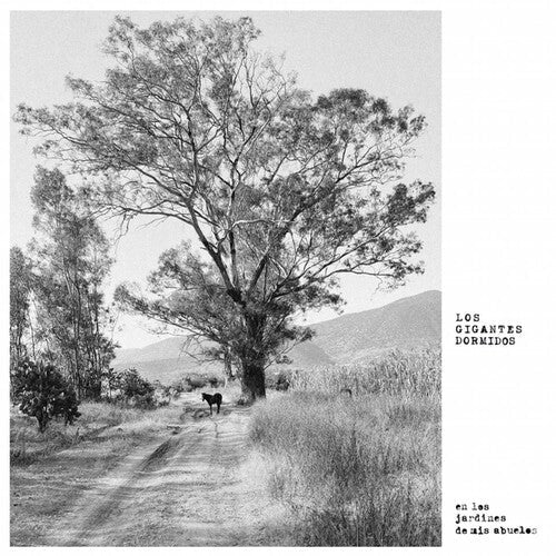 Gigantes Dormidos - Jardines De Mis Abuelos - Vinyl Record