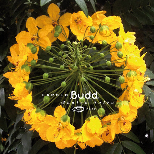 Budd,harold - Avalon Sutra - Vinyl Record