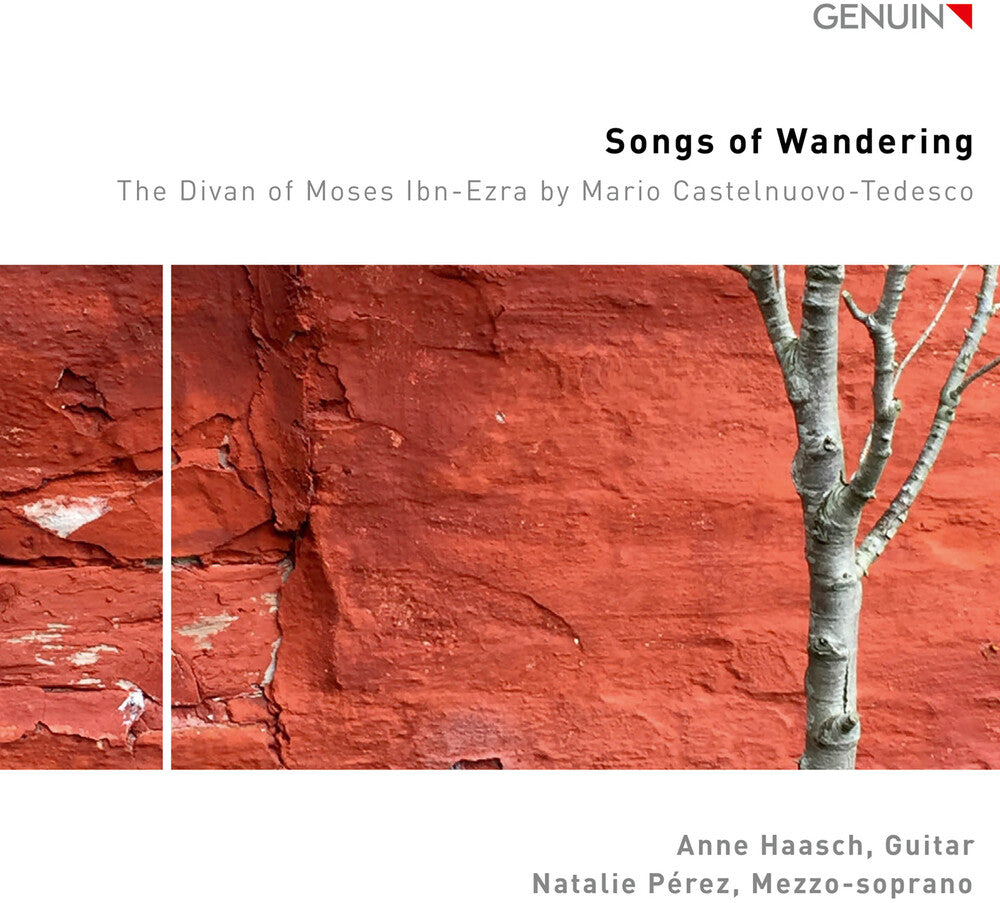 Anne Haasch - Songs Of Wandering [CD]