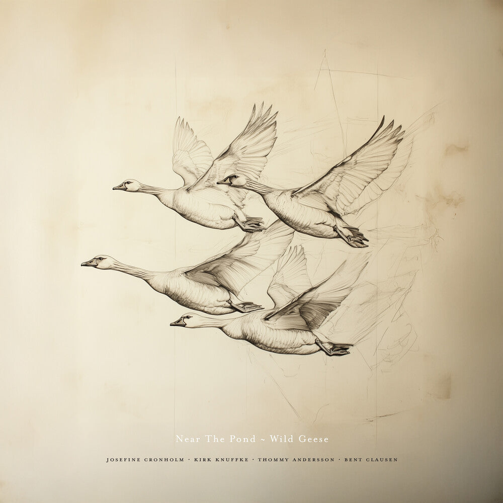 Near The Pond - Wild Geese [CD]