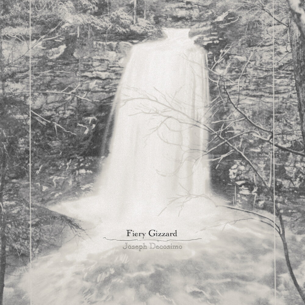 Joseph Decosimo - Fiery Gizzard [LP] Vinyl Record