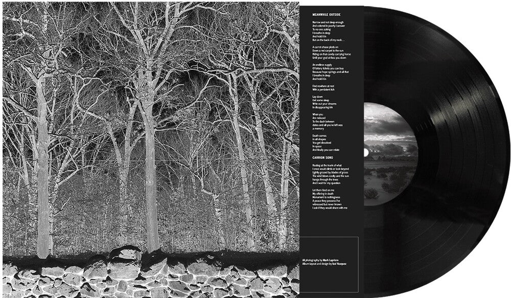 Pile - Sunshine & Balance Beams [LP] Vinyl Record