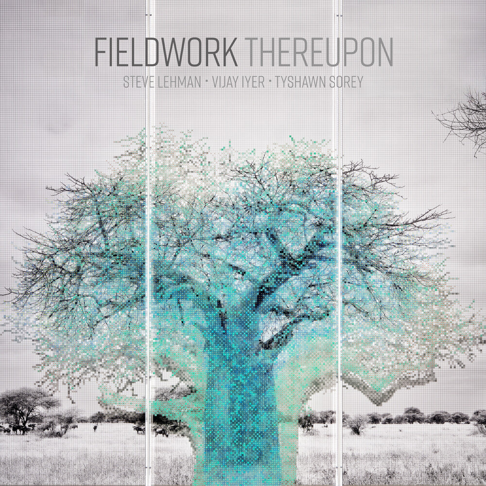 Fieldwork - Thereupon [LP] Vinyl Record