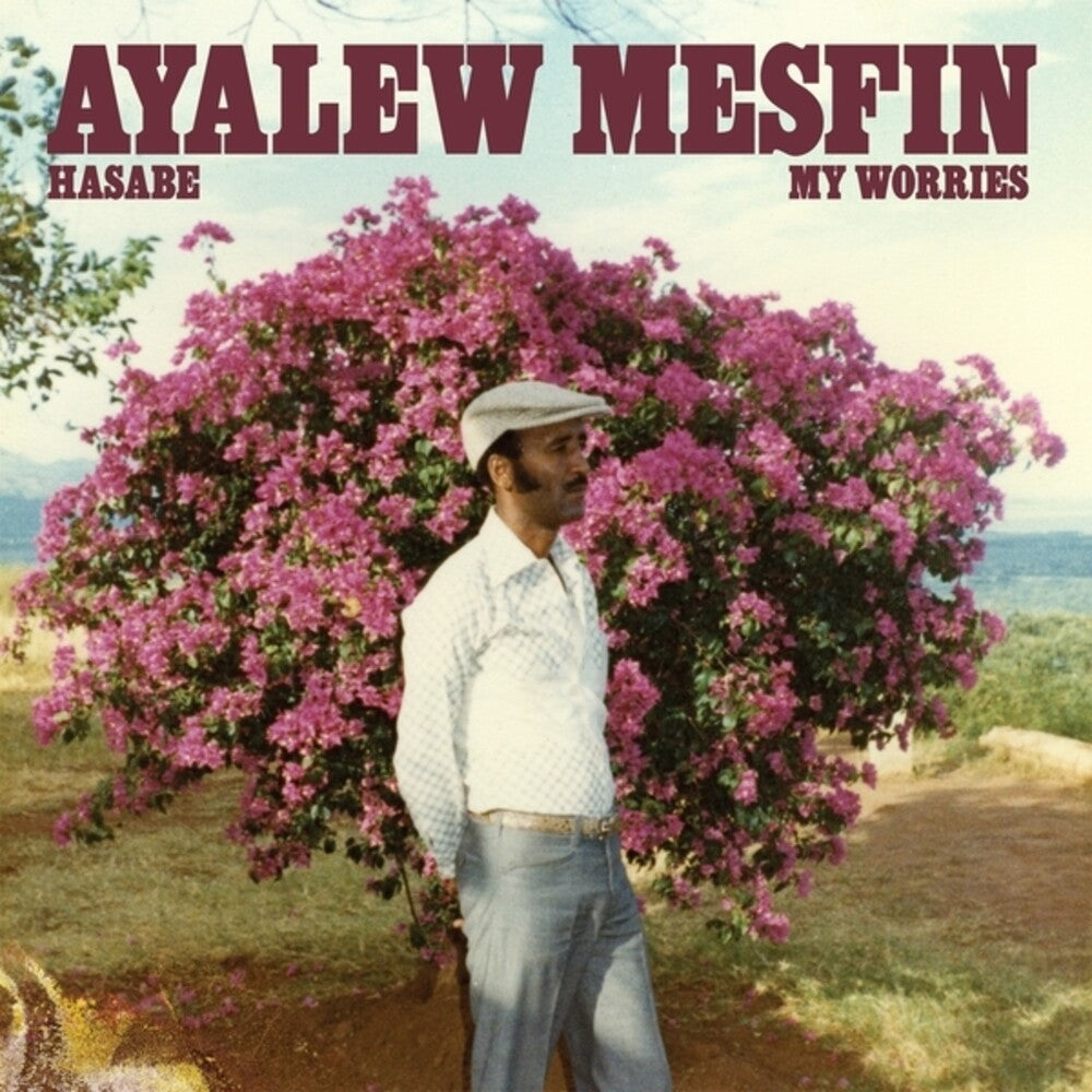 Mesfin, Ayalew - Hasabe - My Worries [LP] Vinyl Record
