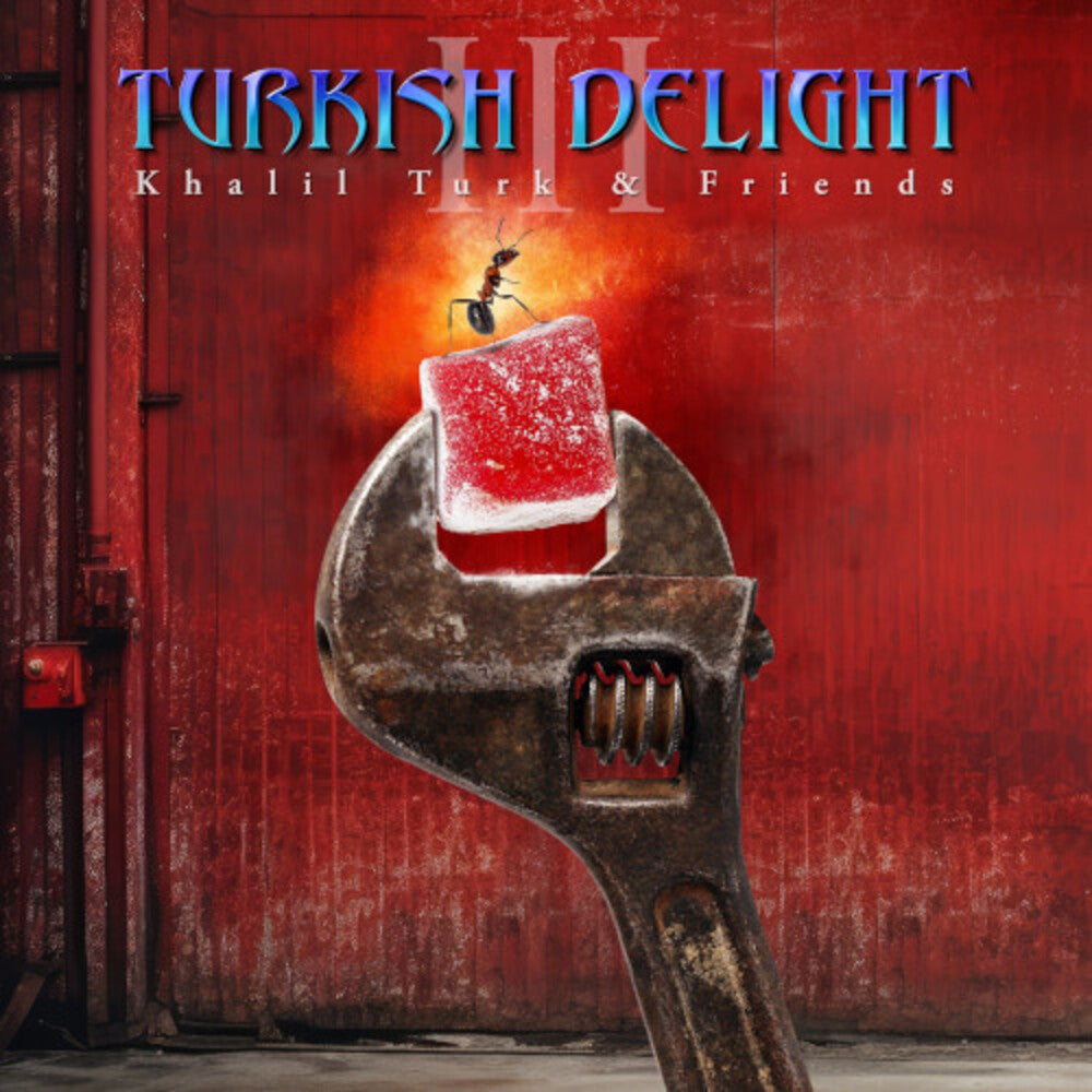 Turkish Delight Volume Three / Various - Turkish Delight Volume Three / Various [LP] Vinyl Record