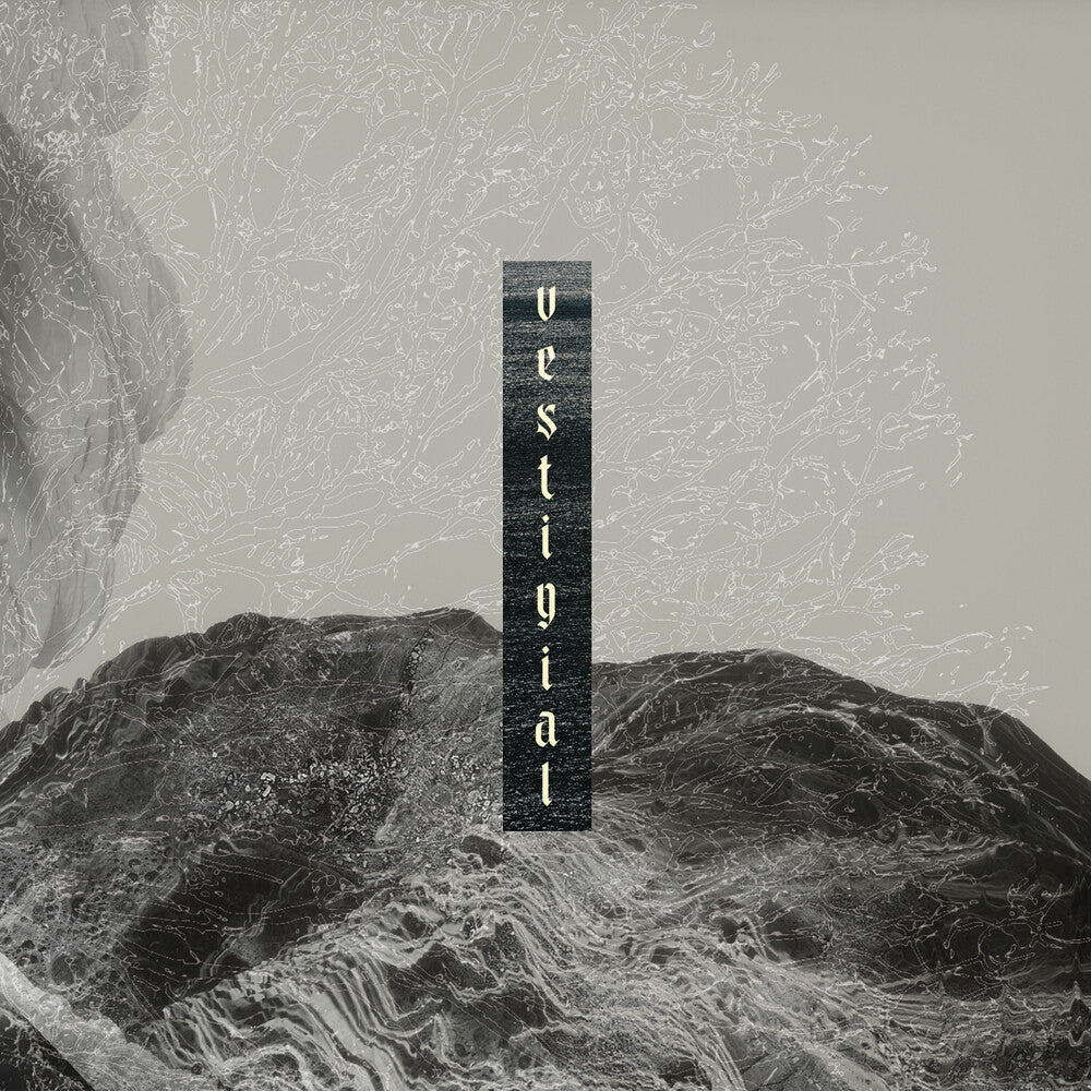 Pre-Order: Vestigial - Descending Vastness [CD]