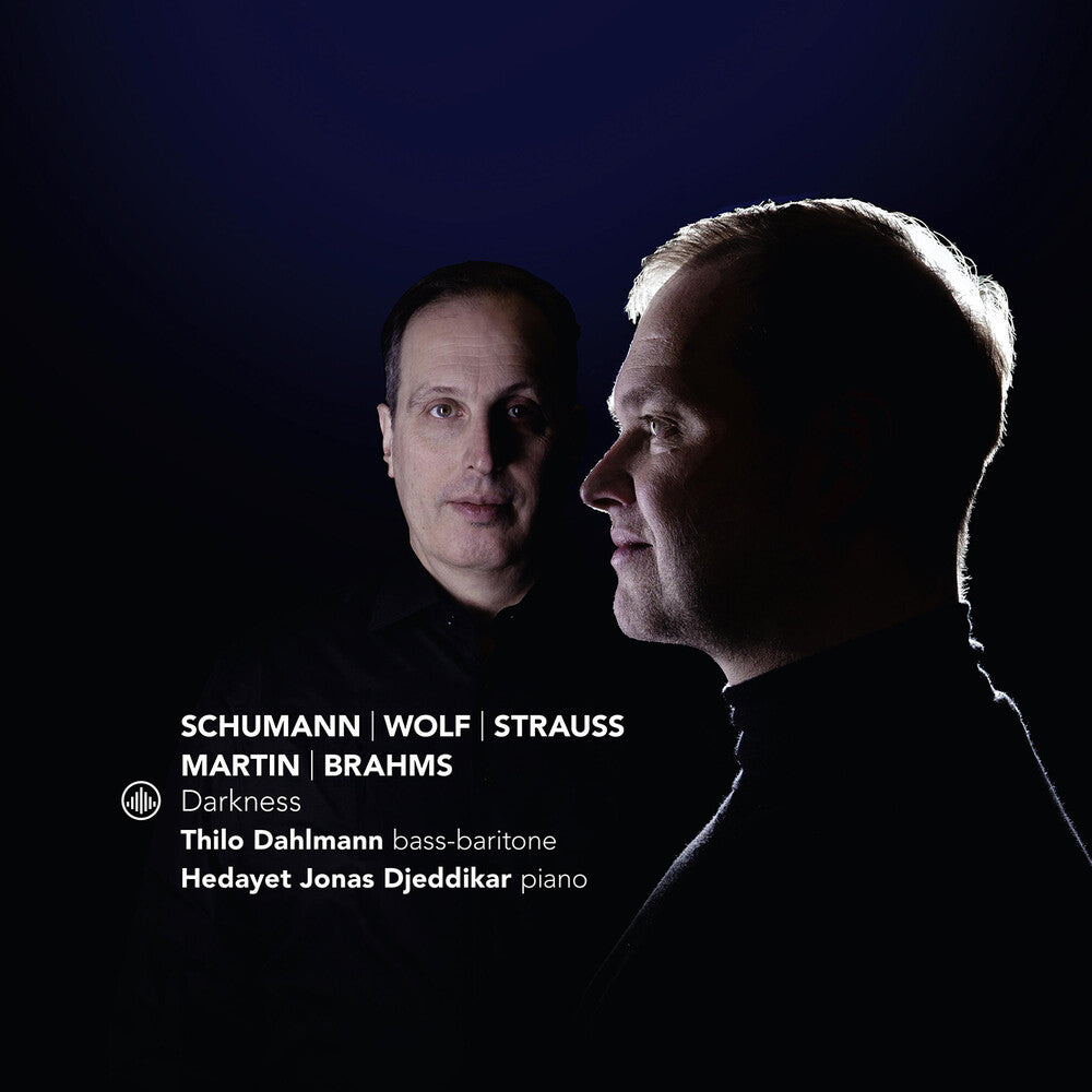 Pre-Order: Thilo Dahlmann - Darkness [CD]