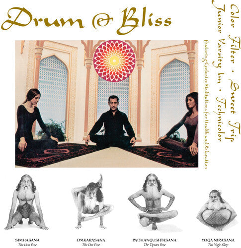 Drum & Bliss / Various - Drum & Bliss / Various - Vinyl Record