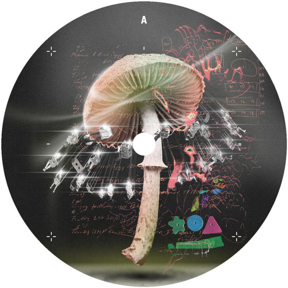 Lusu - Move 2 The Groove [12" Vinyl]