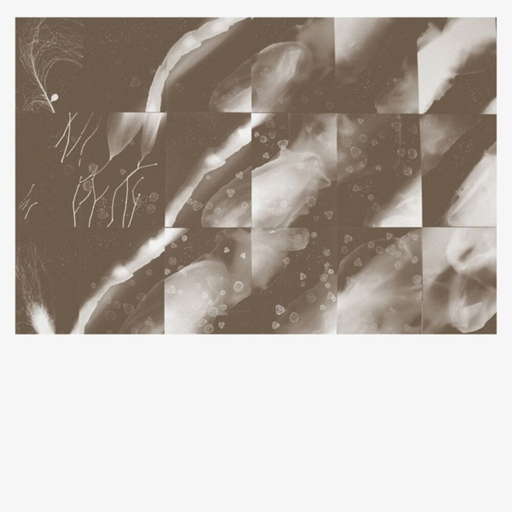 Pre-Order: Peter Knight - For A Moment The Sky Knew My Name [CD]