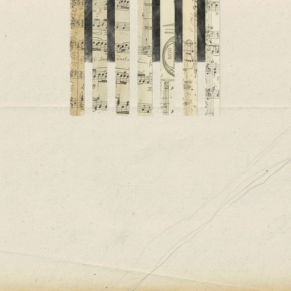 Pre-Order: Coh & Wladimir Schall - Covers [LP]
