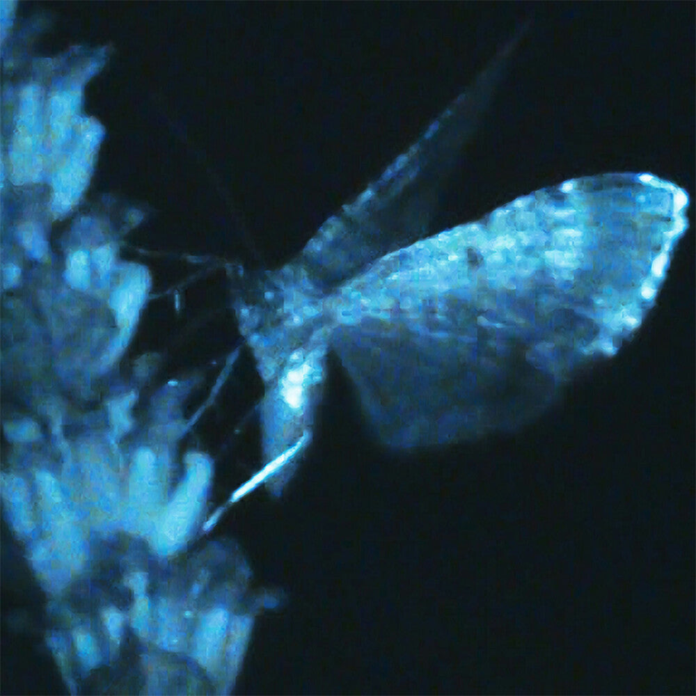 Pre-Order: Annika Bennet - Triple Shooting Star [LP]