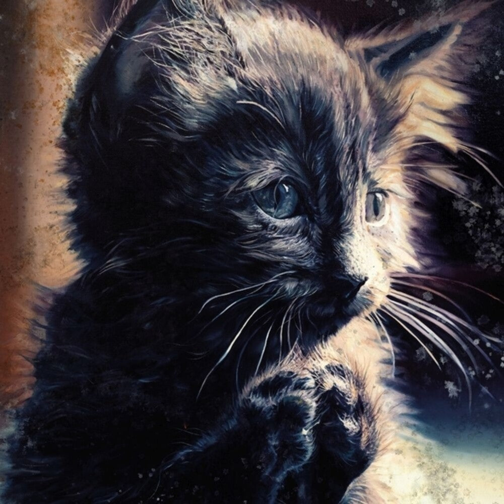 Pre-Order: Perzeptiver Dampfkessel Qualmt Besinnlich - Pussy Disco [CD]