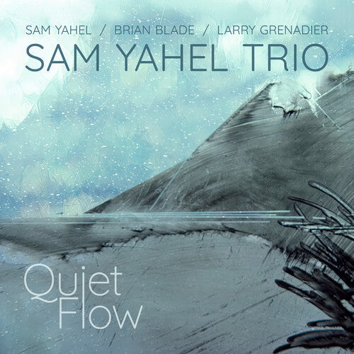 Yahel,sam - Quiet Flow - Music CD