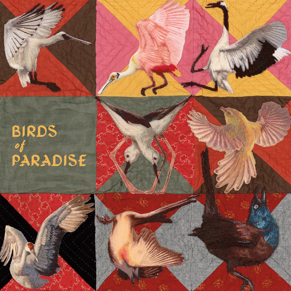 Pre-Order: Thomas Dollbaum - Birds Of Paradise [CD]