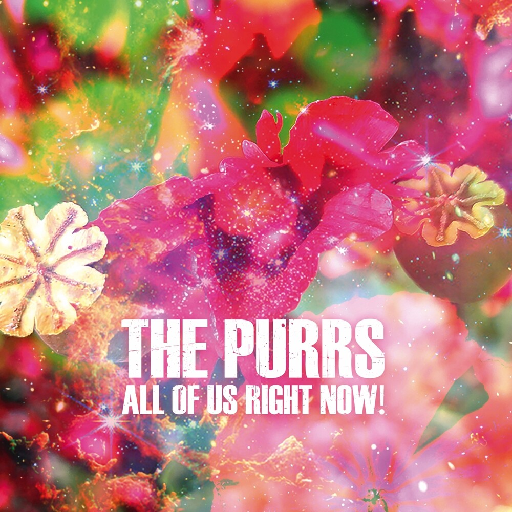 Pre-Order: Purrs - All Of Us Right Now [LP]