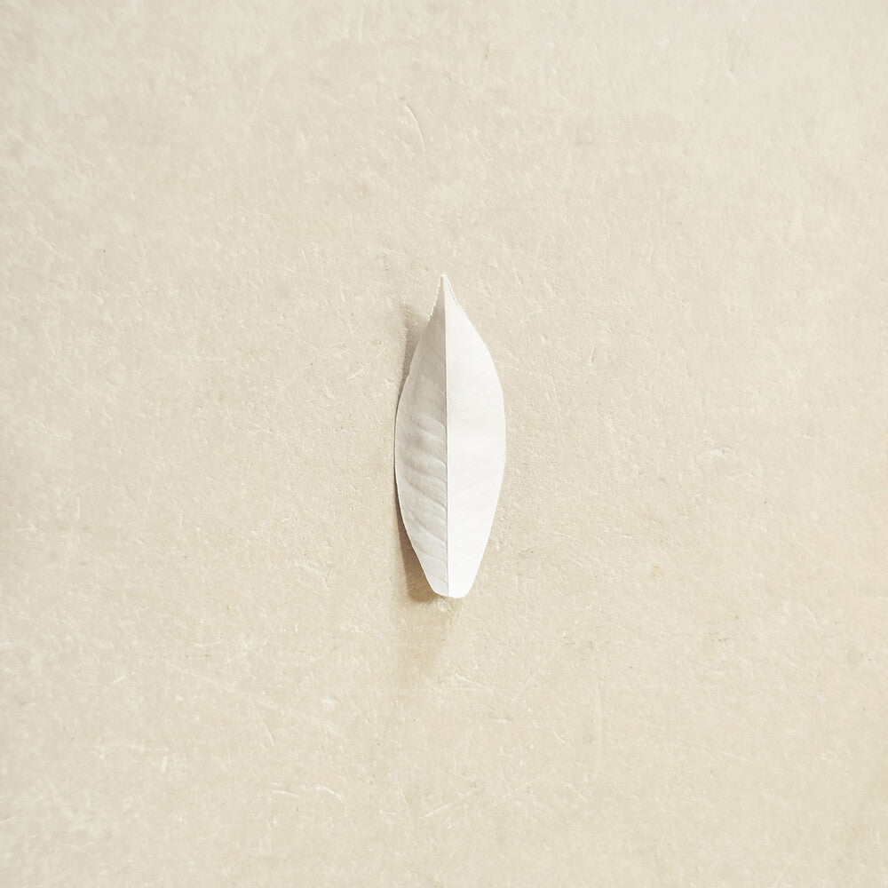 Pre-Order: Sylvain Chauveau - Complexity Of The Simple [LP]