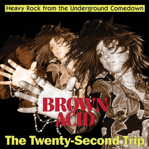 Brown Acid - Twenty-second Trip / Various - Brown Acid - Twenty-second Trip / Various - Vinyl Record