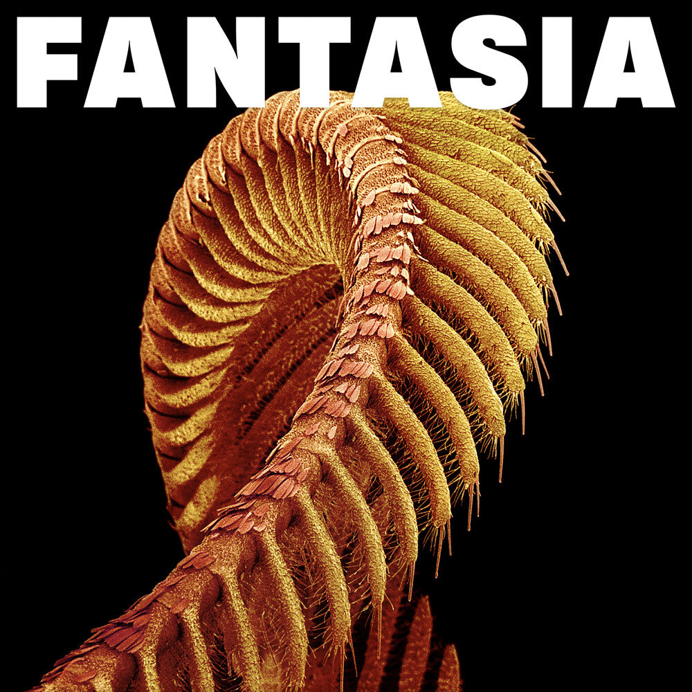 Pre-Order: SLIFT - Fantasia - Yellow [Colored Vinyl] (Ylw)