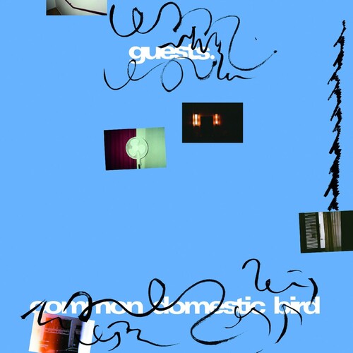 Guests - Common Domestic Bird - Vinyl Record