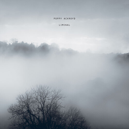 Ackroyd,poppy - Liminal - Vinyl Record