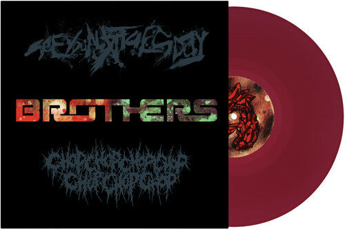 See You Next Tuesday - Brothers - Vinyl Record
