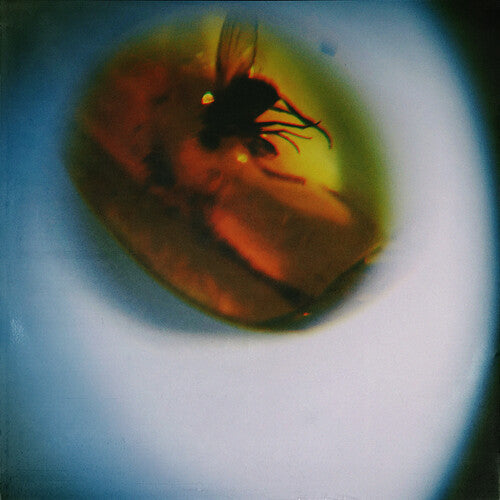 April / Vista - Traditional Noise - Vinyl Record