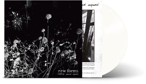 New Forms - Nothing's Sacred Anymore - Vinyl Record