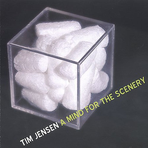 Tim Jensen - A Mind For The Scenery [CD]