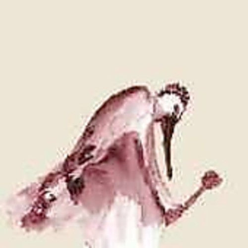 From Quagmire - Habitats in the Wound [CD]