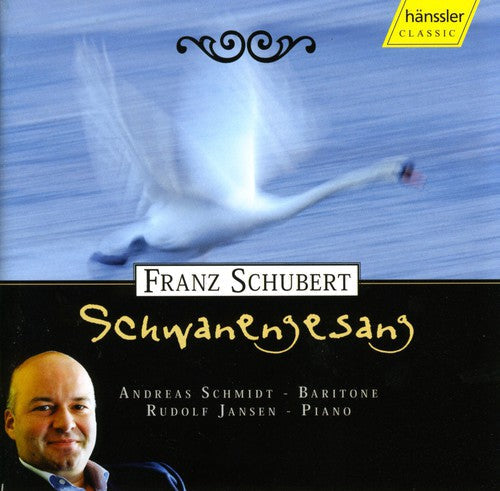 We Were Strangers - Schwanengesang [CD]