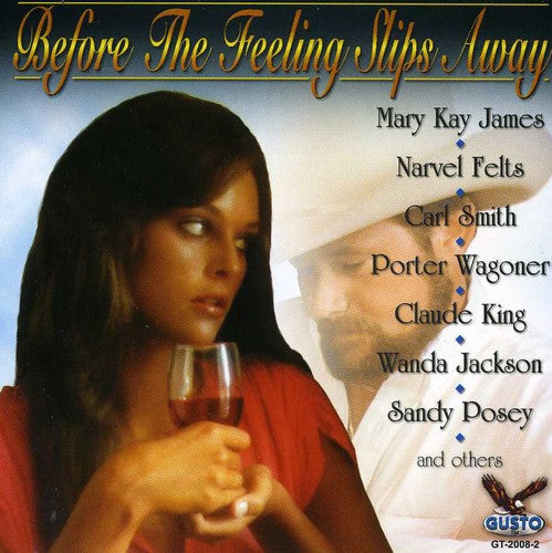 Countrys Best Before The Feeling Slips Away - Country's Best: Before the Feeling Slips Away / Various [CD]
